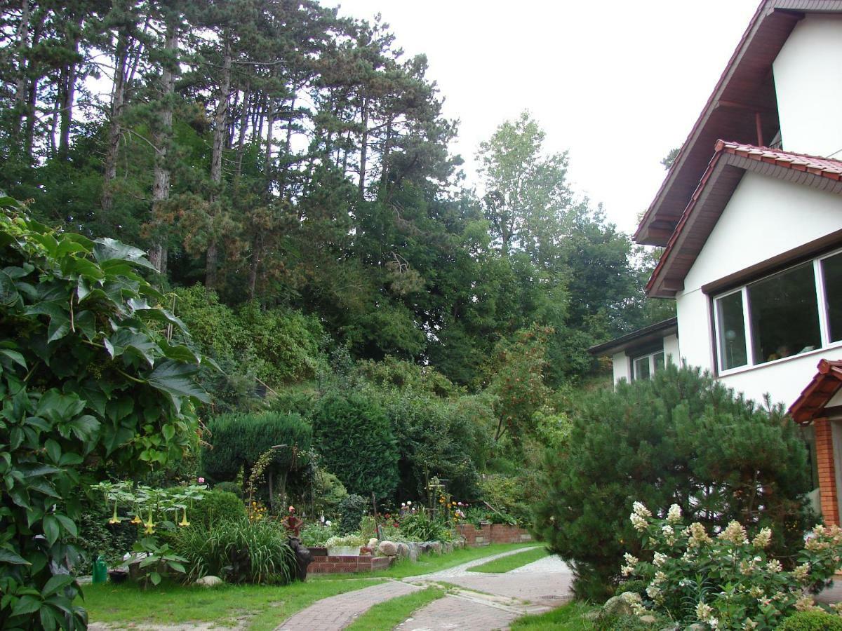Villa Mielno-Eko Mielno  Exterior photo